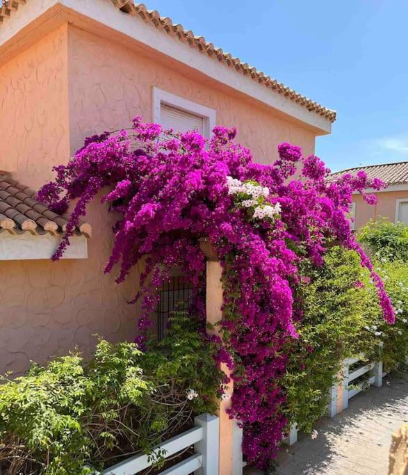 Casa de Férias House Sleeps 6, Large Pool Walk To *